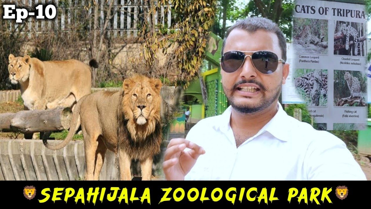 Agartala Zoo, Tripura || Sepahijala Zoological Park || Tripura Series || Ep- 10