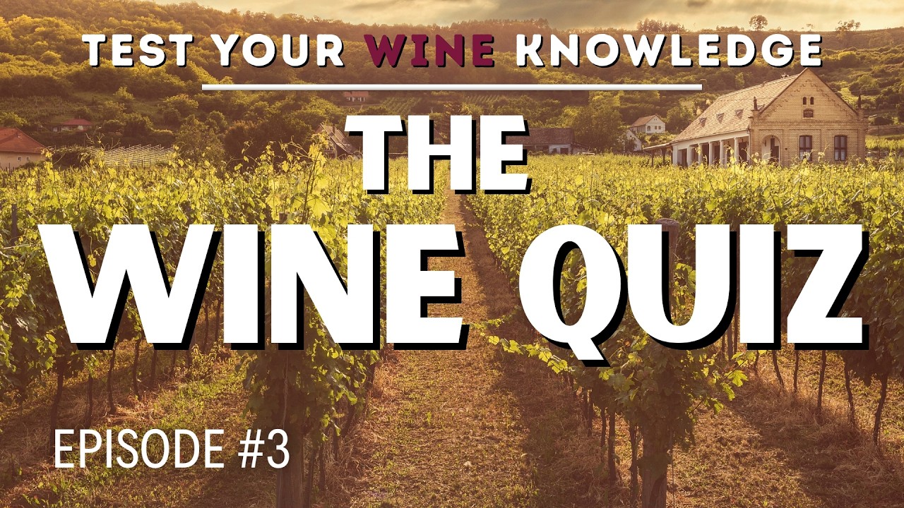Test your WINE Knowledge with our QUIZ - WSET style wine questions (Episode #3)