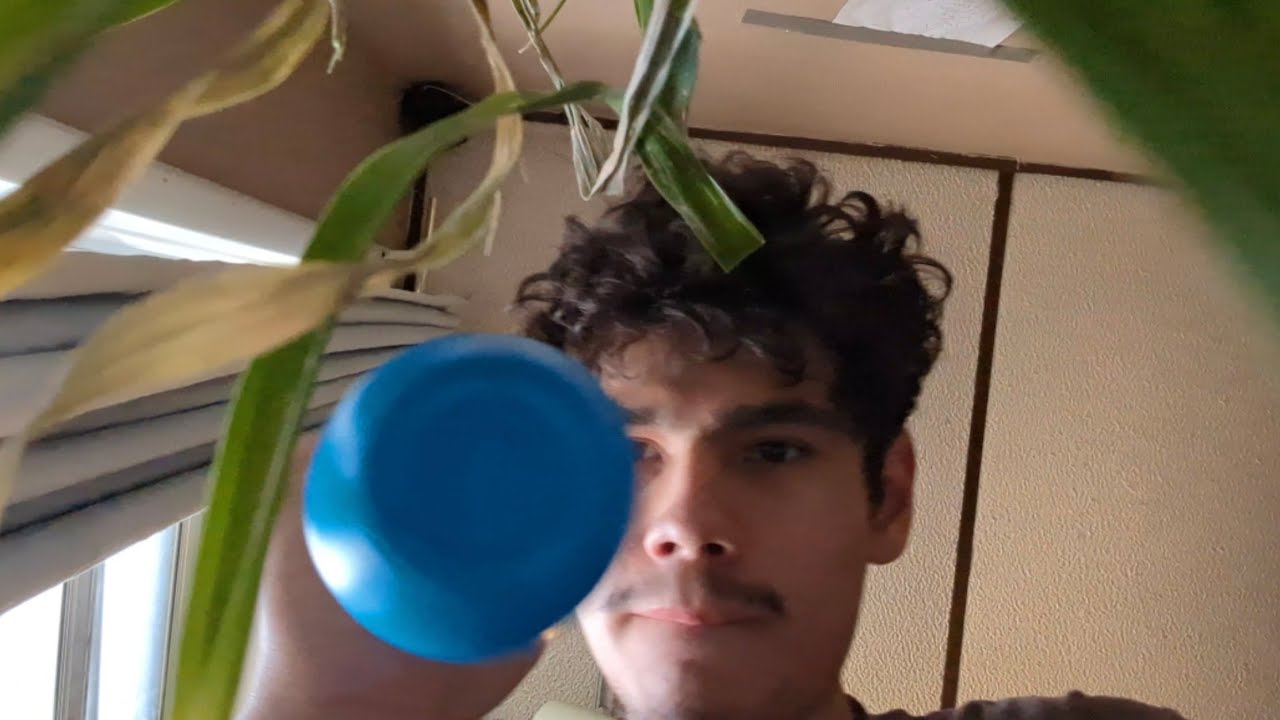 (ASMR) Spray Bottle And Plant Sounds 🌿💦💤