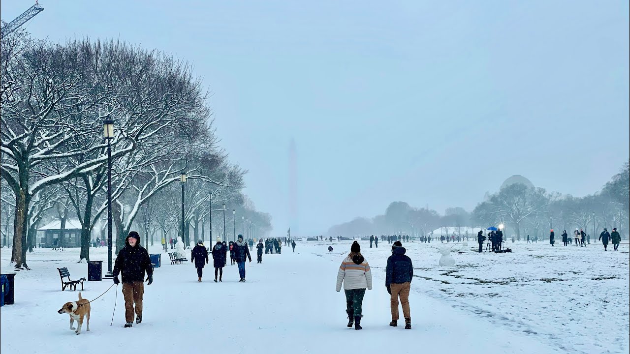 ⁴ᴷ⁶⁰ Walking in Powerful Snowstorm in Washington DC (January 31, 2021)