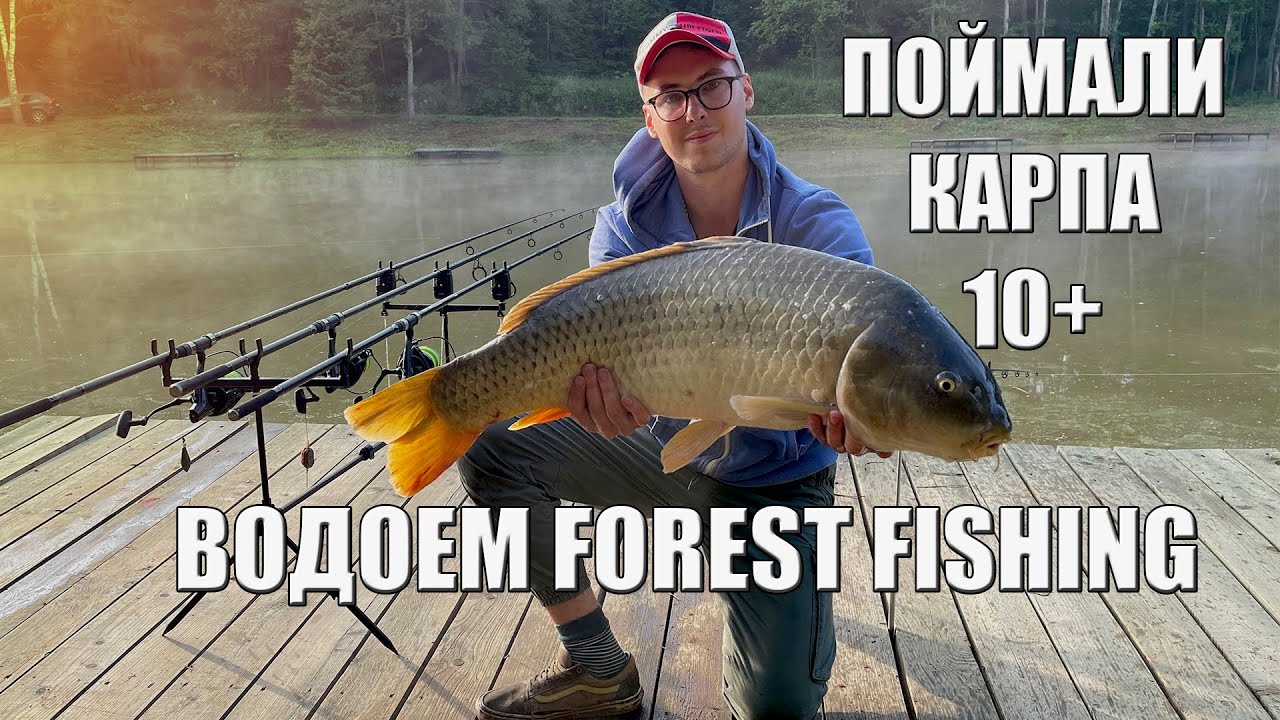 Летний выезд на водоём Forest Fishing