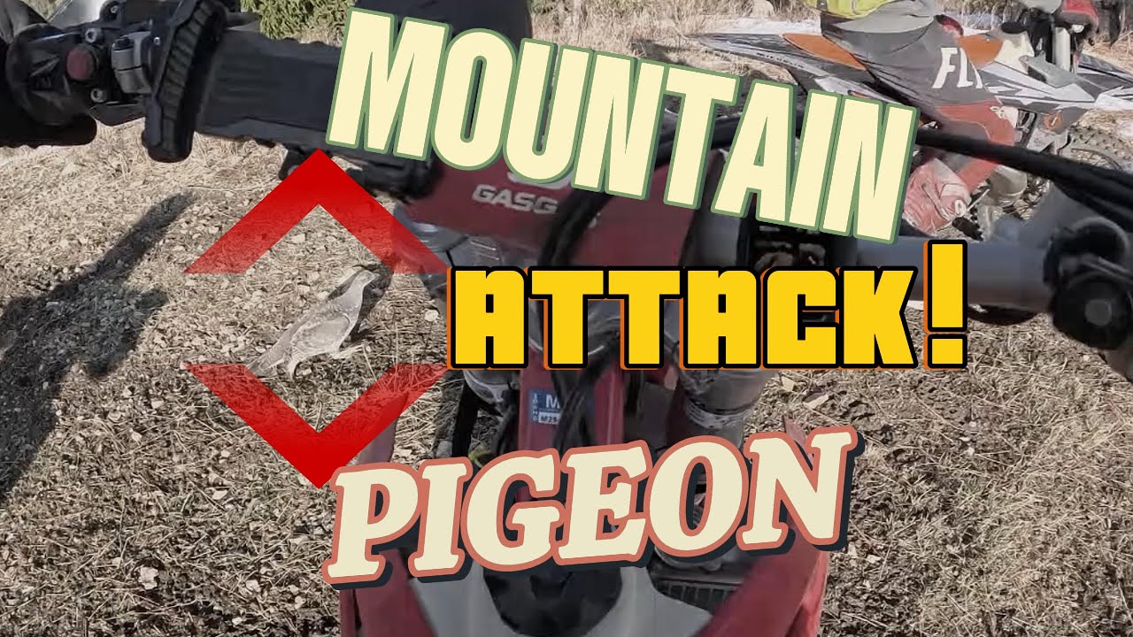 DIRT BIKES ARE THE BEST!(One More Ride)