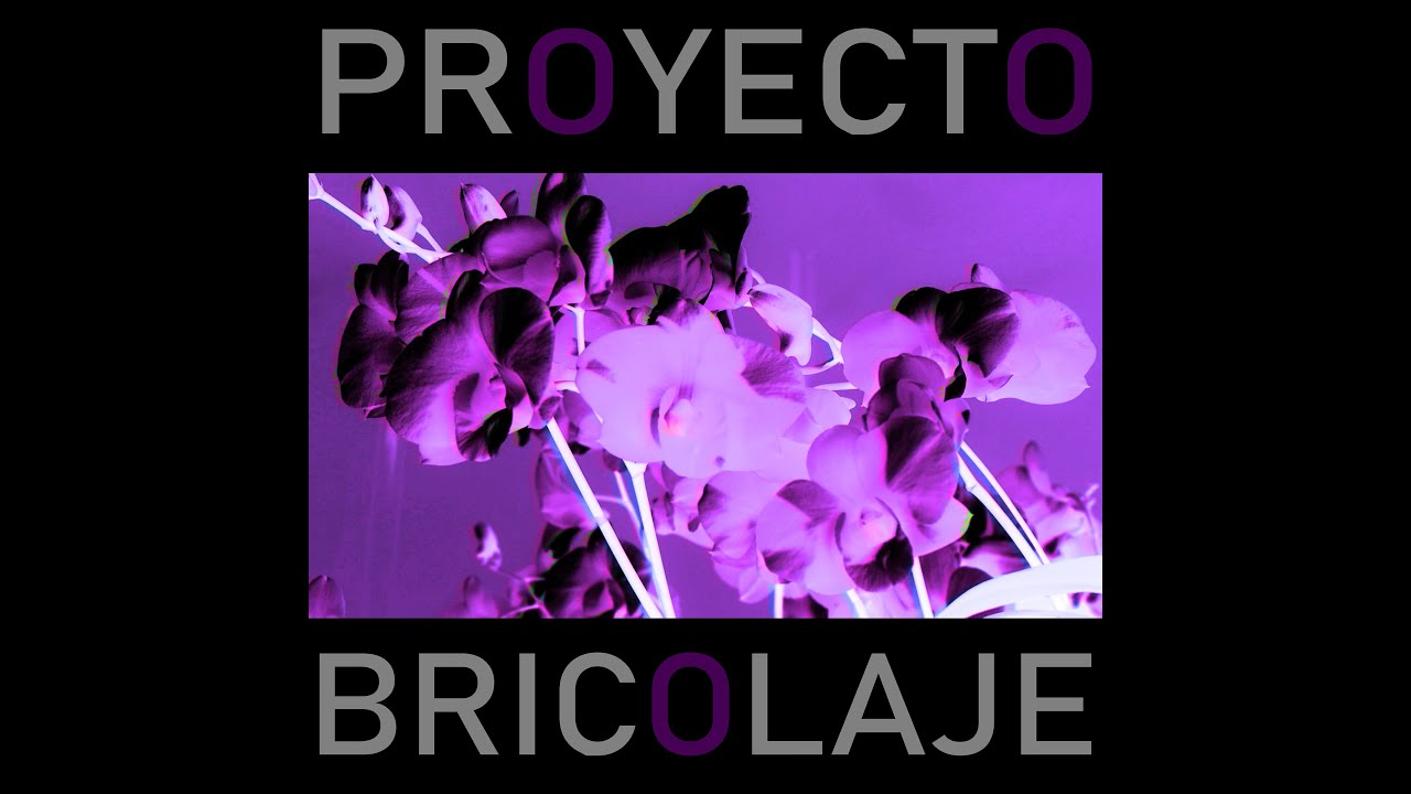 PRODUCIENDO EN VIVO | #PROYECTOBRICOLAJE #VENUSIANS #SHOEGAZE #ABLETON