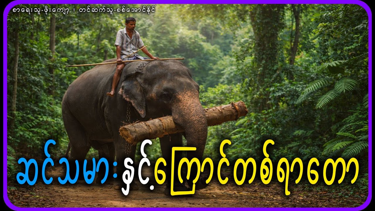ဆင်သမားနှင့်ကြောင်တစ်ရာတော