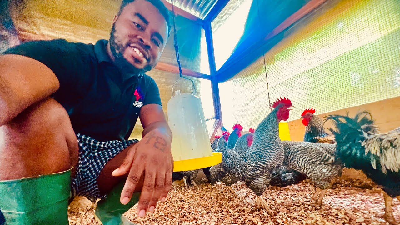 We Started A Poultry 🐓🍗🐔