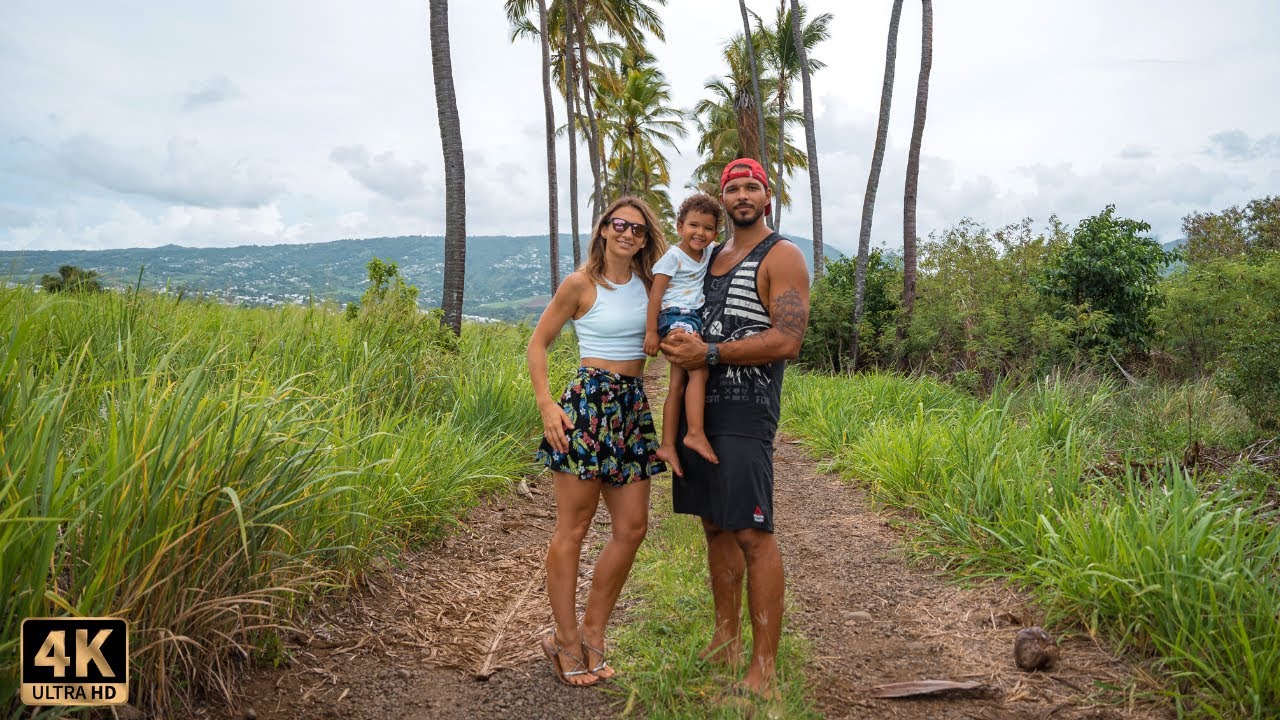 PERSONAL DISASTER RECOVERY in PARADISE ISLAND [EP50]