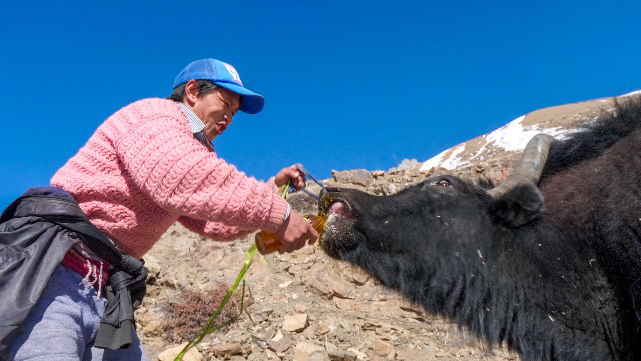 The 4 Seasons of LIFE in Pin Valley