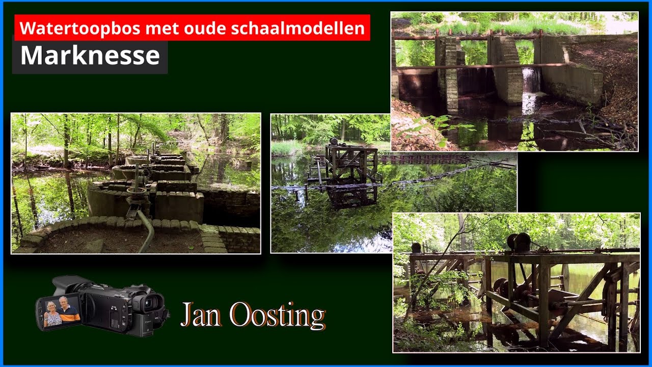 Waterloopbos, waar oude waterwerken door de natuur worden overwoekerd.
