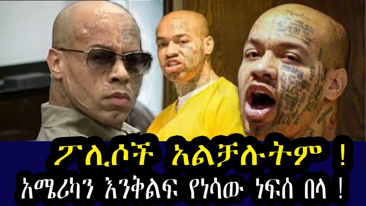 ለፖሊሶች የከበደው ኒኮ  !! Nikko, who caused trouble for the police