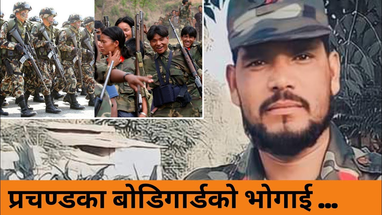 पाल्पा 