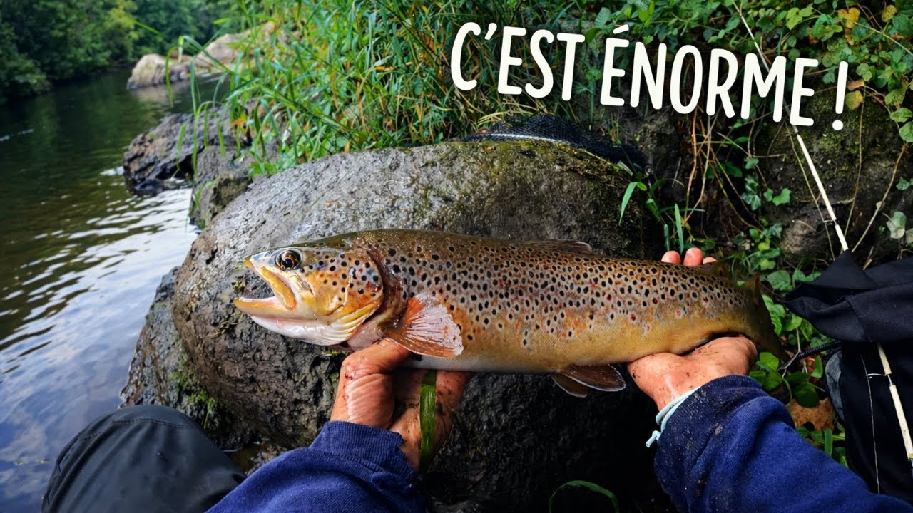 Pèche a la truite en Ariège ( Partie 1/3 )