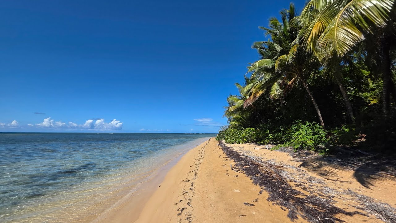 Puerto Rico is Beautiful! Quiet, Luquillo Beach.