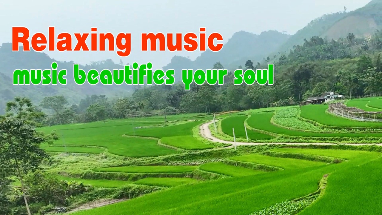 Relaxing music, Beautiful melody, Music beautifies your soul, The sounds of love and life
