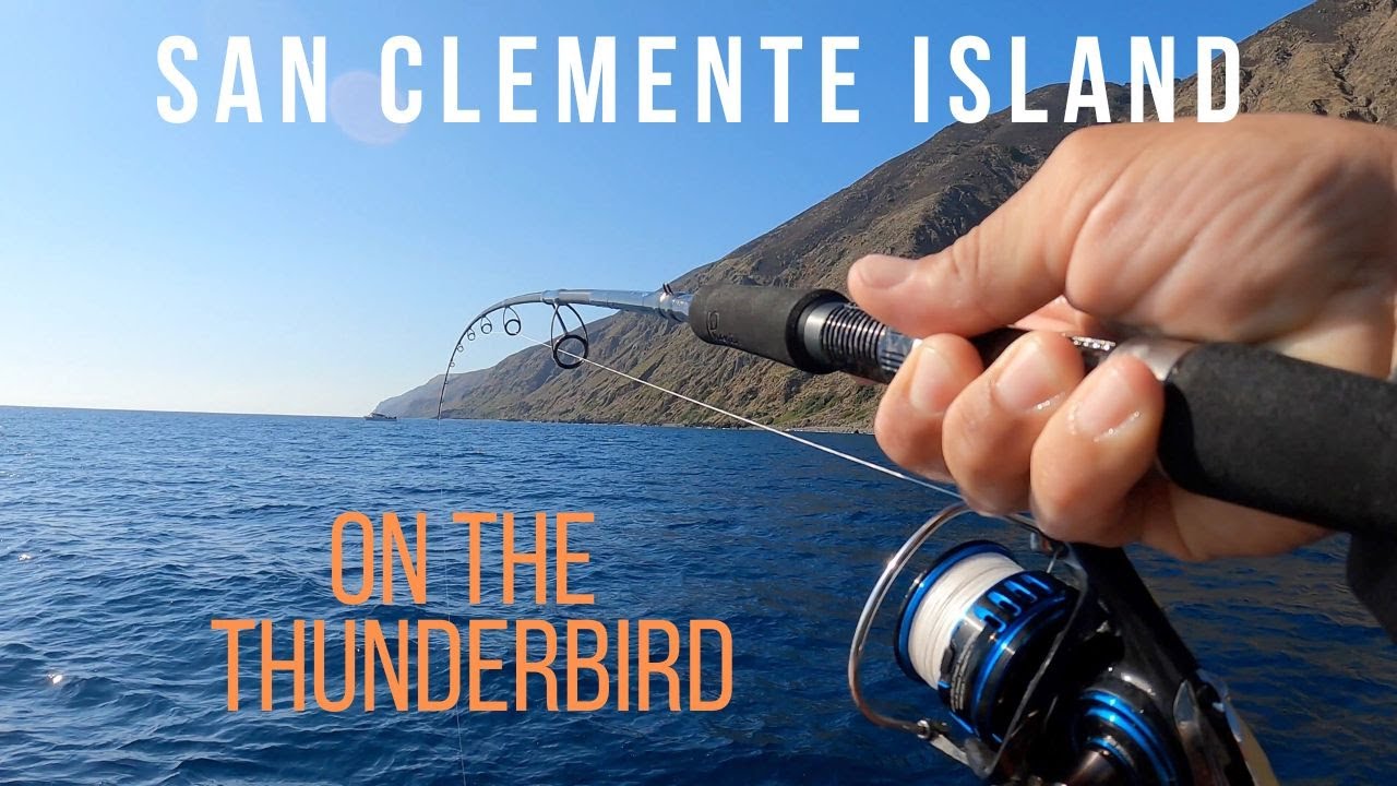 Thunderbird Overnight Trip to San Clemente Island for Yellowtail, Bonito, and Bass