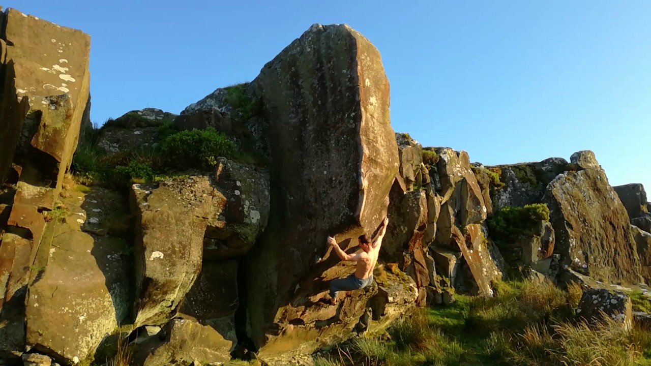 Queen Kong 8A