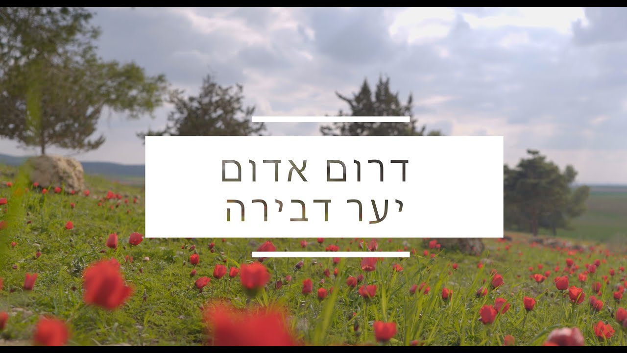 דרום אדום, יער דבירה