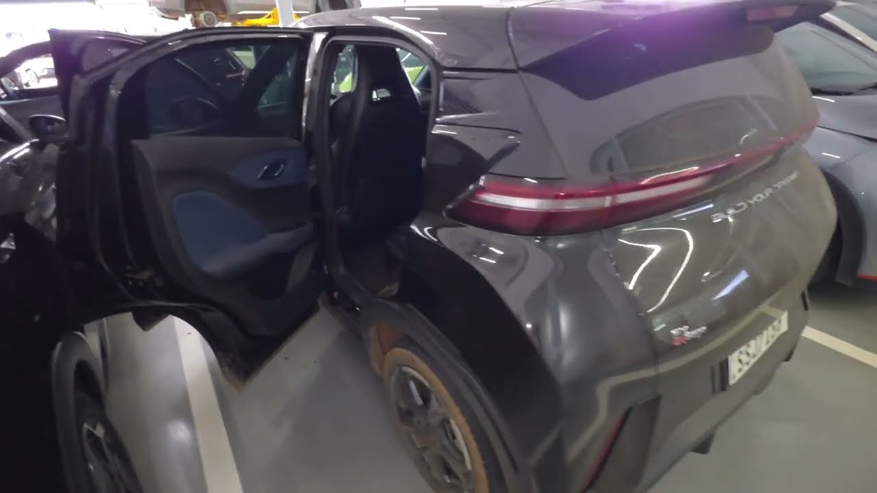 BYD Dolphin mini 180 mil km de revisão 