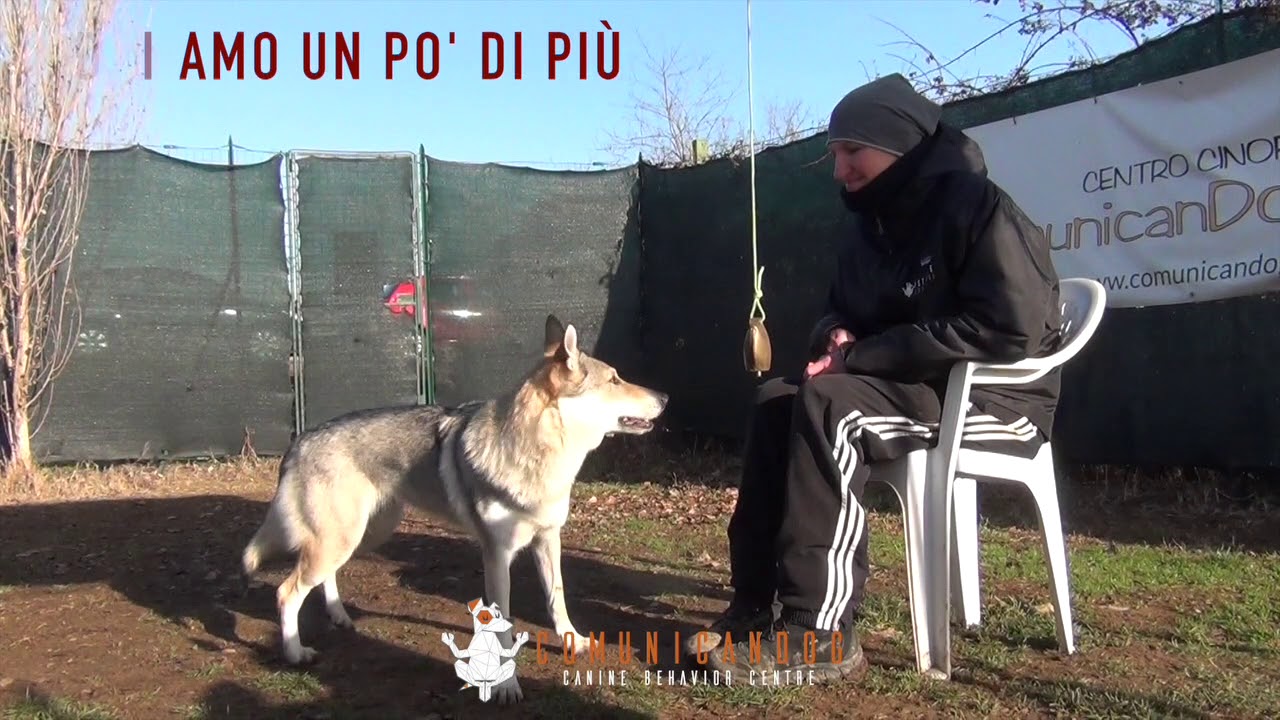 SESSIONE DI MODELLAMENTO/SHAPING (SUONA!)