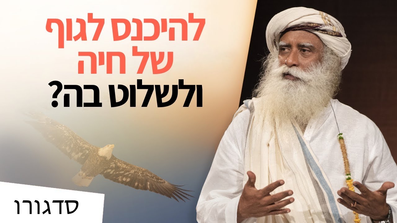 האם שמאנים יכלו להיכנס לגוף של חיה? | סדגורו