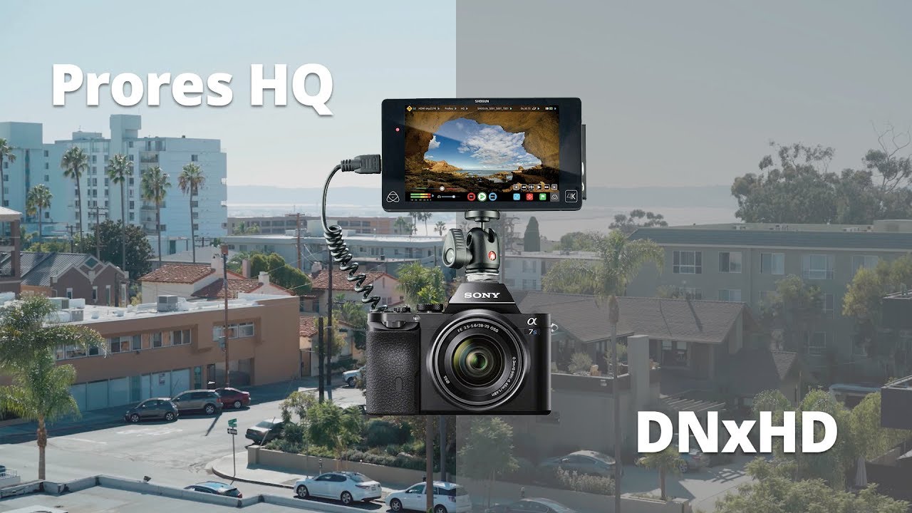 Прорес против DNxHD | Атомос Сёгун