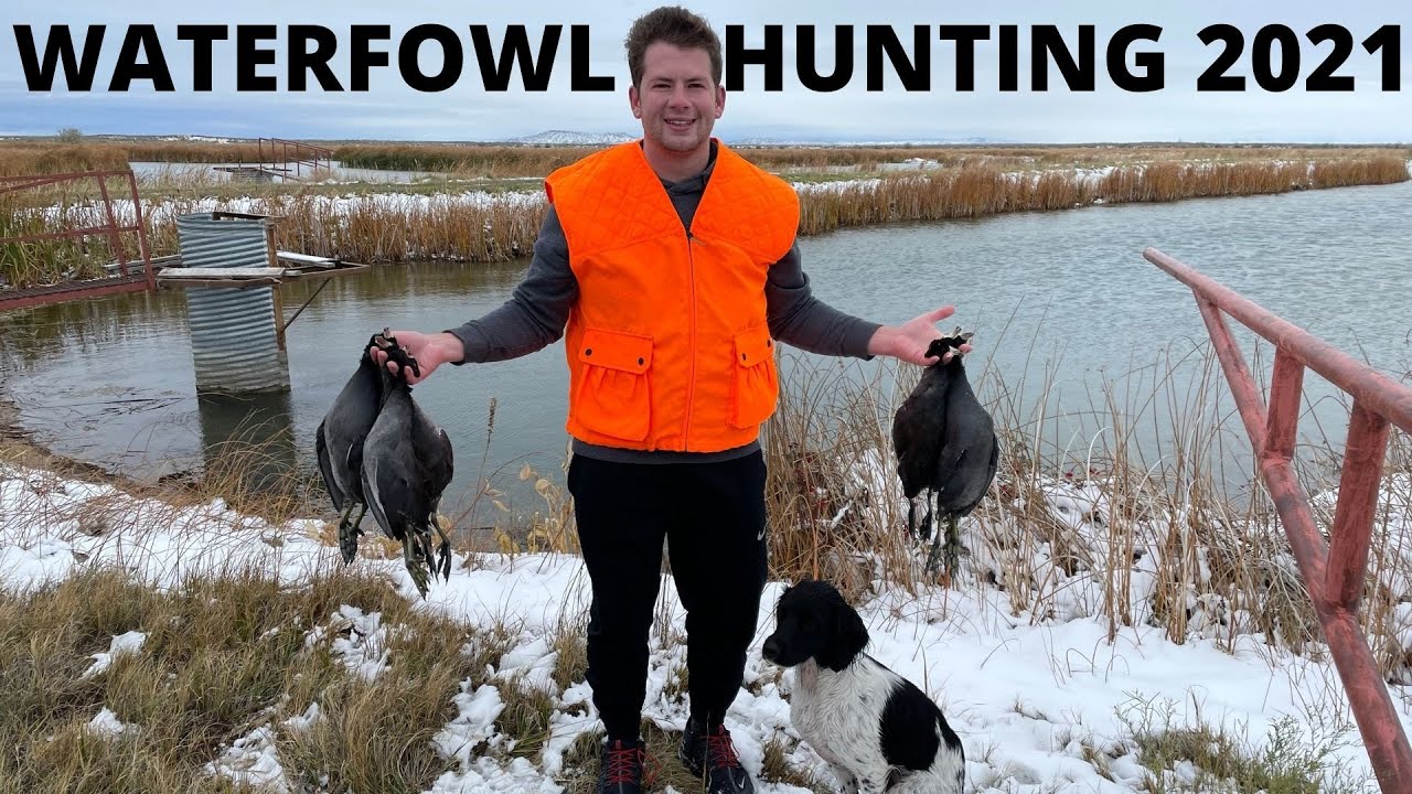 First Water Fowl Hunt of 2021 | Coot Duck Hunting in Idaho