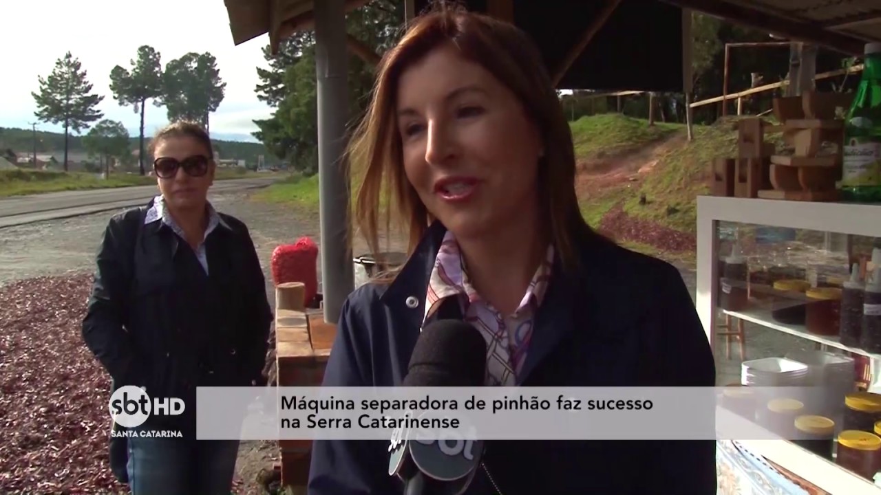 Máquina separadora de pinhão faz sucesso na Serra Catarinense