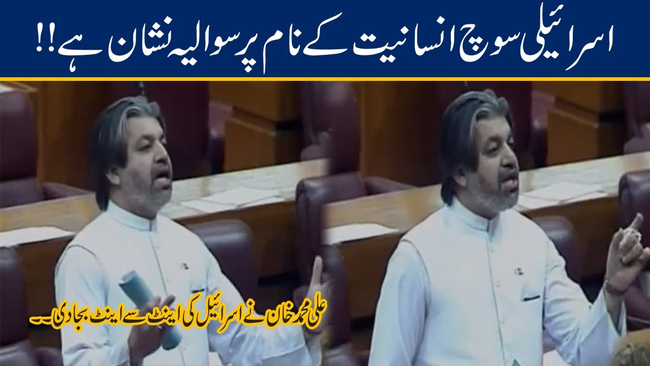 Ali Muhammad Khan Fiery Speech On Palestine Issue