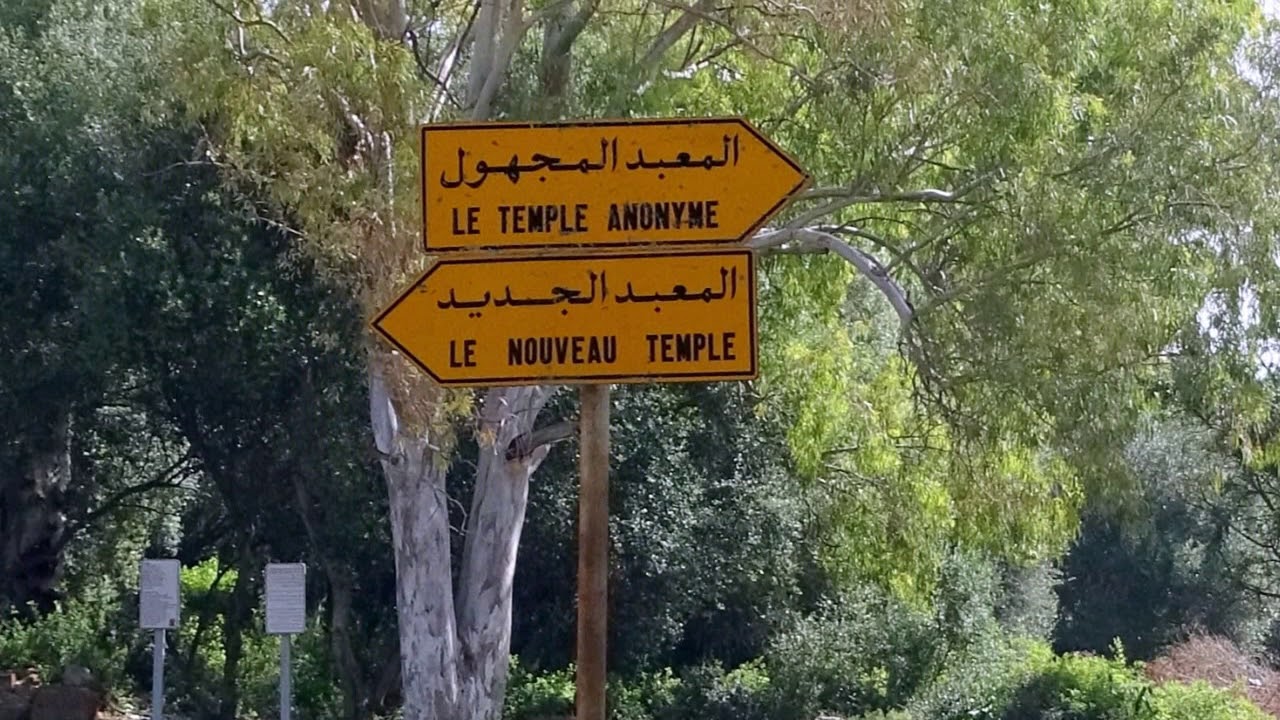 ALGERIE - 6A - TIPASA de MAURÉTANIE - L'école buissonnière de deux sœurs à  -