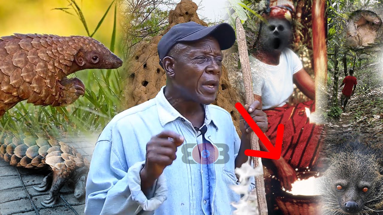 SC@RY STORY😯😯: I saw real witch pounding fufu @ midnight when I got lost in the deep forest.