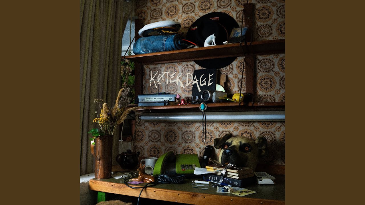Vejret