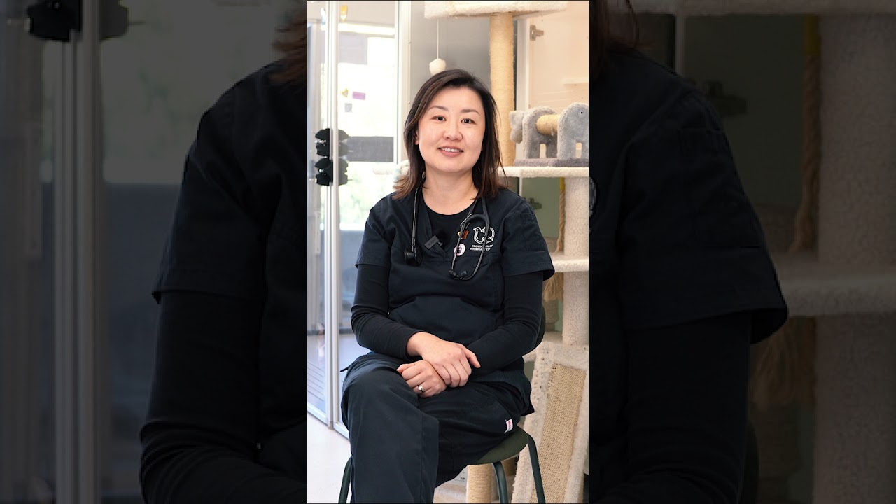 Crystal-Clear Imaging in Every Scan: Dr. Christina Zhu on the Samsung V8 Vet Ultrasound