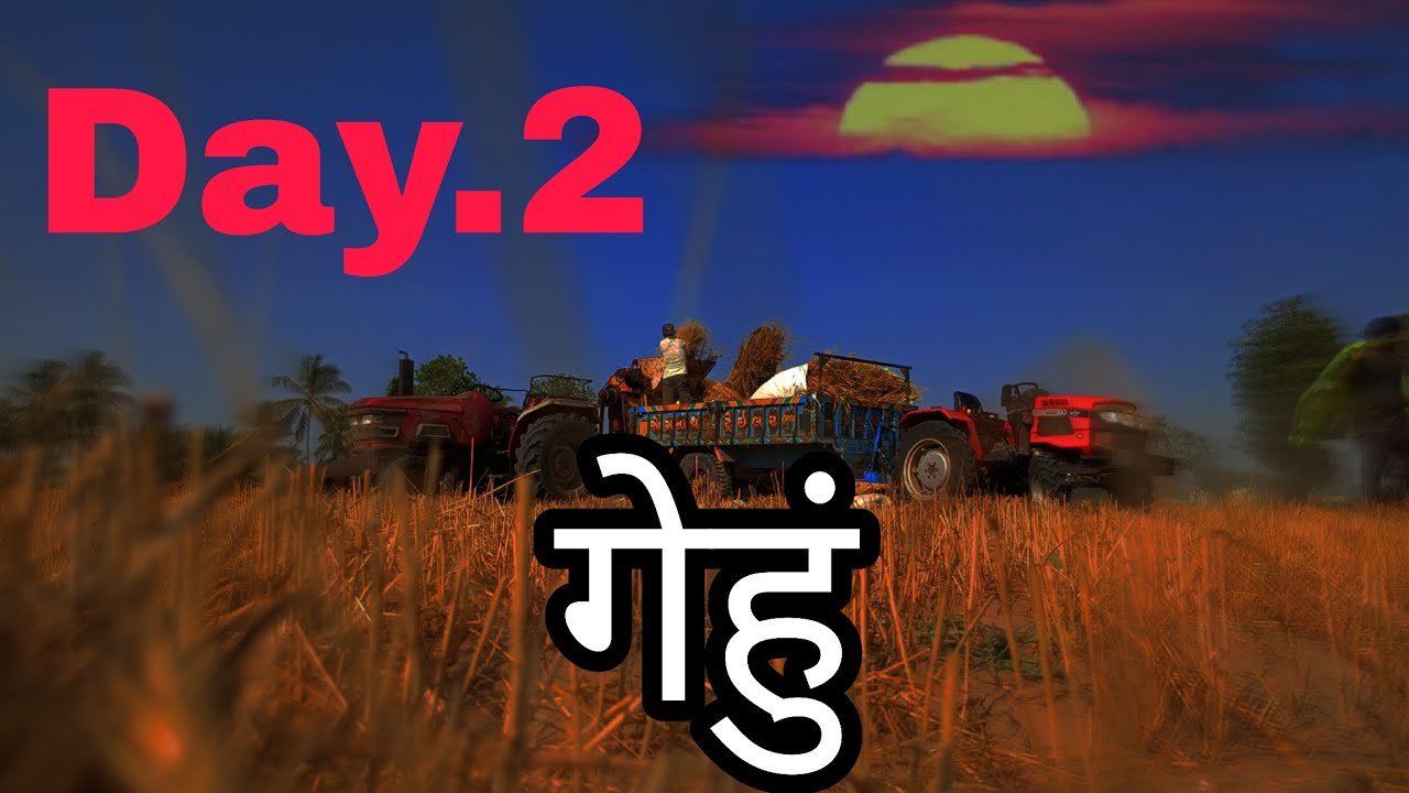 गेहुं काढ़ने का। Day.2..🙏🌾💥 Nayak Vishal block.