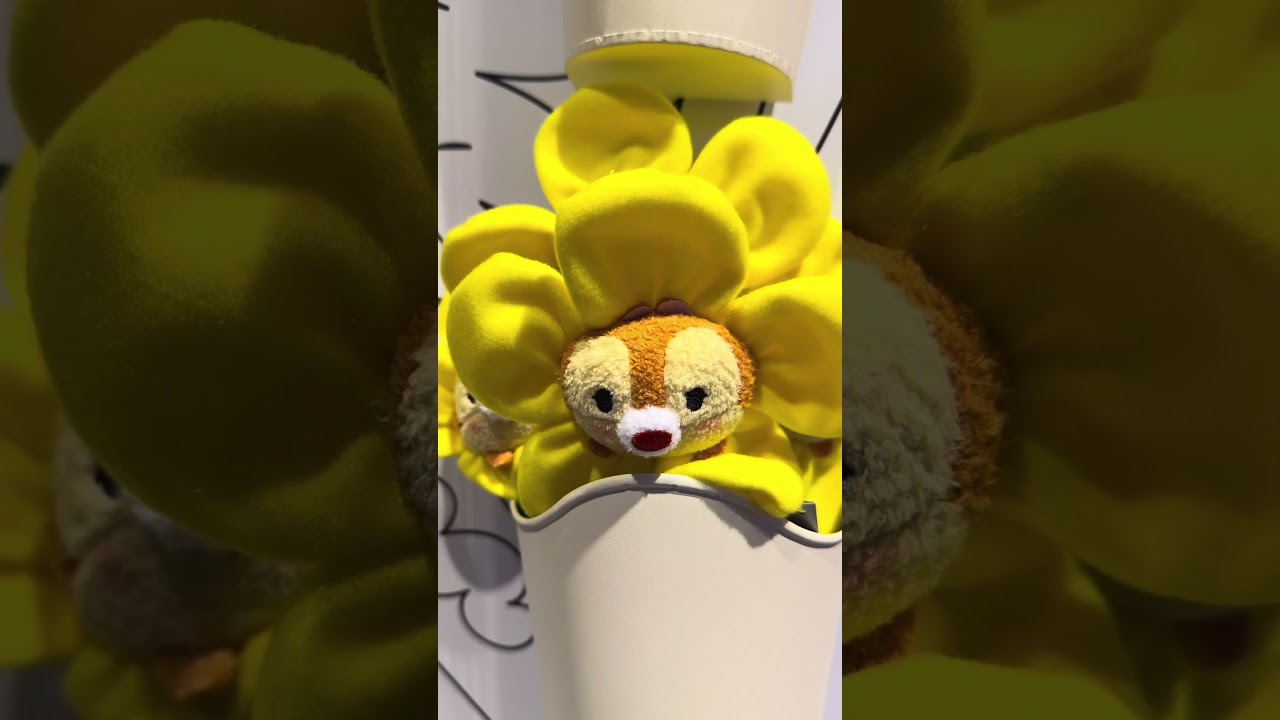 Latest Merchandise at Disneyland Resort (January 2026)