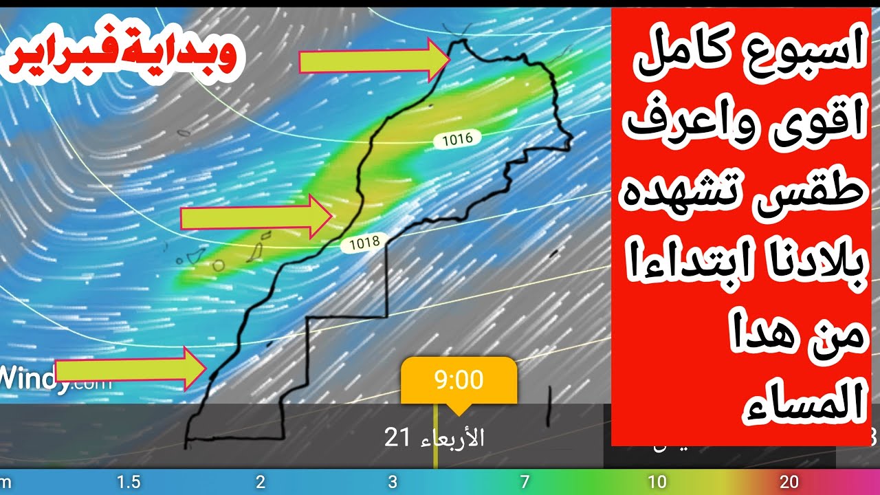 عاجل | مباشر | أعنف طقس تشهده بلادنا امطار عاصفية وسيول لأسبوع كامل وشهر فبراير ان شاء الله