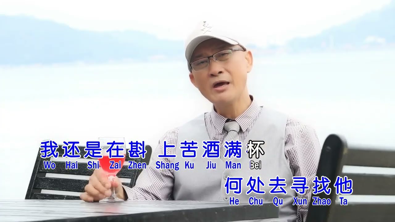 苦酒满杯 - 杨庆 DVD精选32首(第一集)