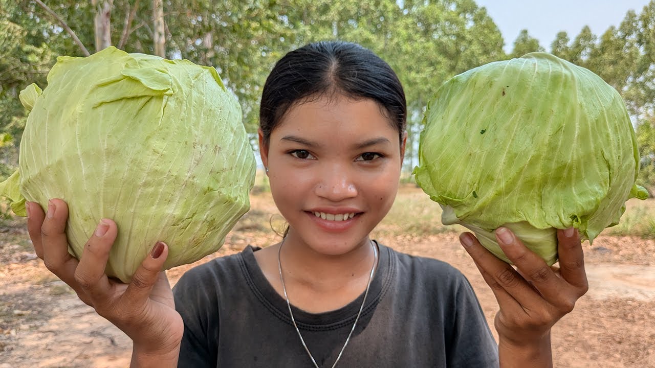 Tasty Eggs Fried Cabbage Recipe | Cabbage Tastes Better Than Meat