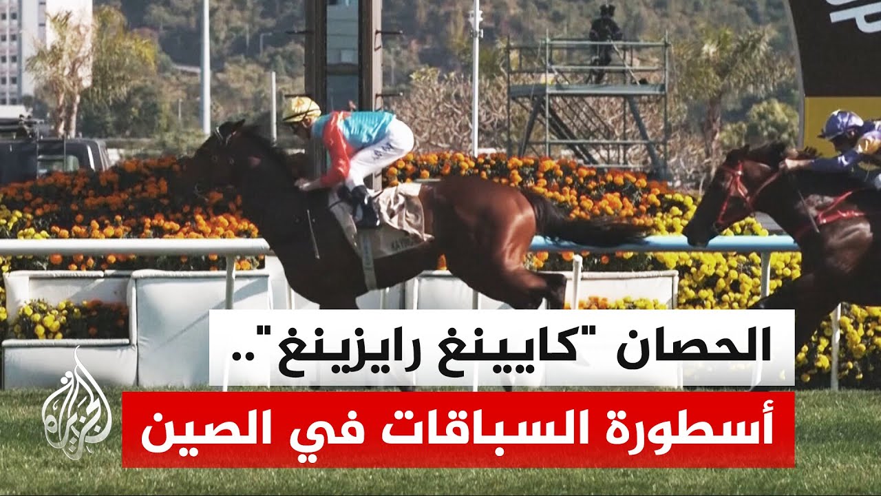 17 فوزا متتاليا.. الحصان 