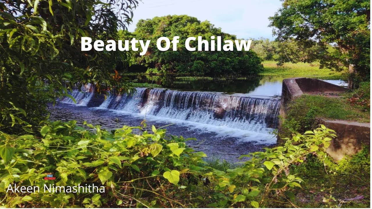 Beauty Of Chilaw.