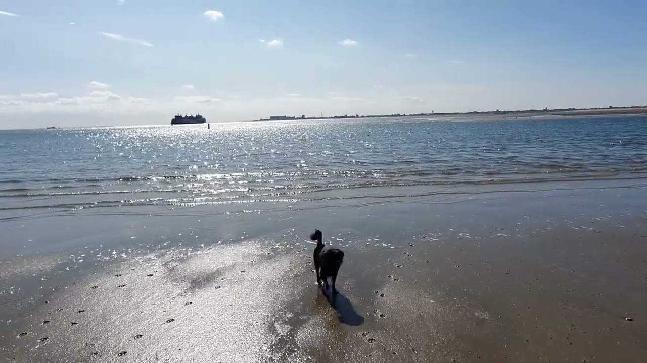 Texel, september 2024