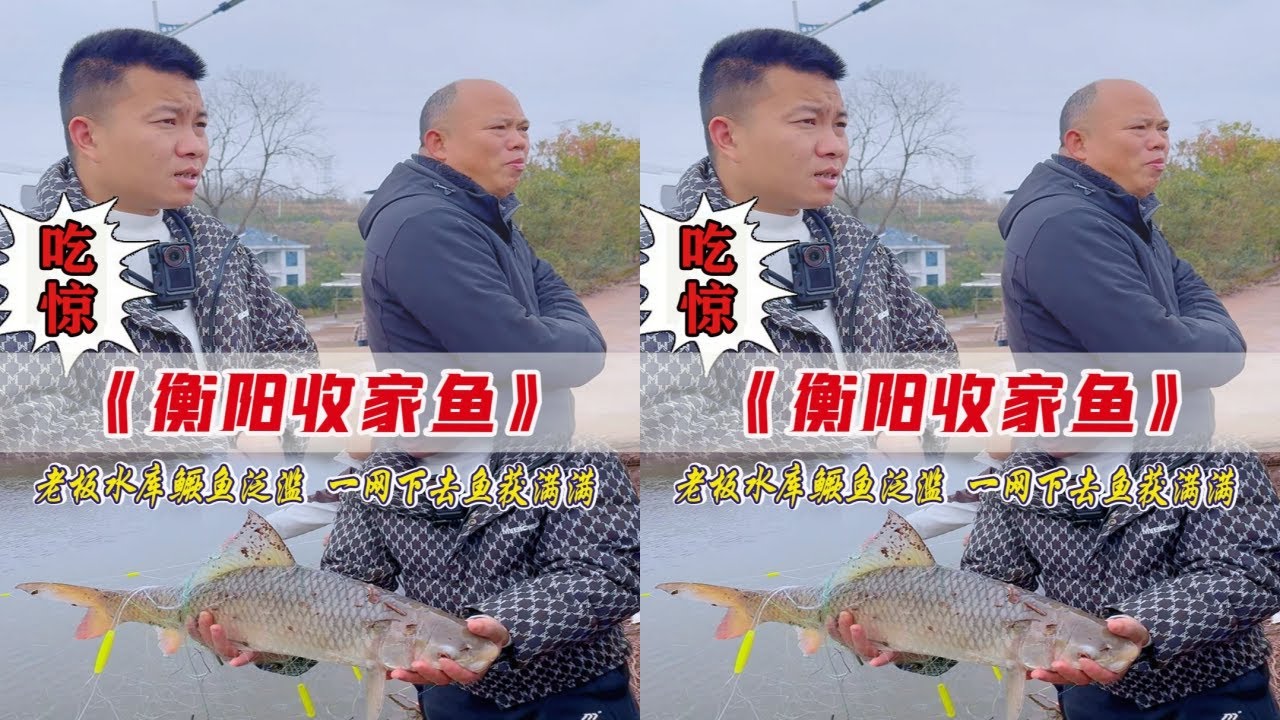 老板说水库鳜鱼泛滥成灾，一网下去全是大鱼，来看看怎么回事！