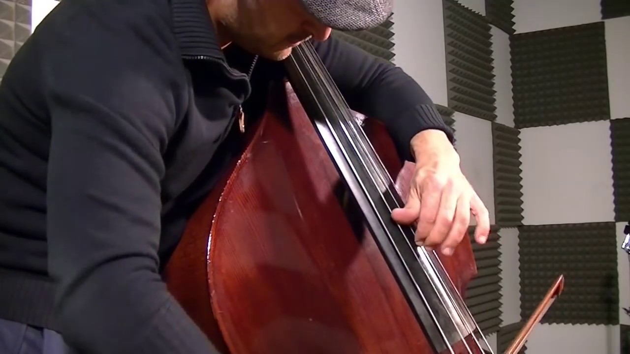 Astor Piazzolla - Libertango - Double Bass Solo
