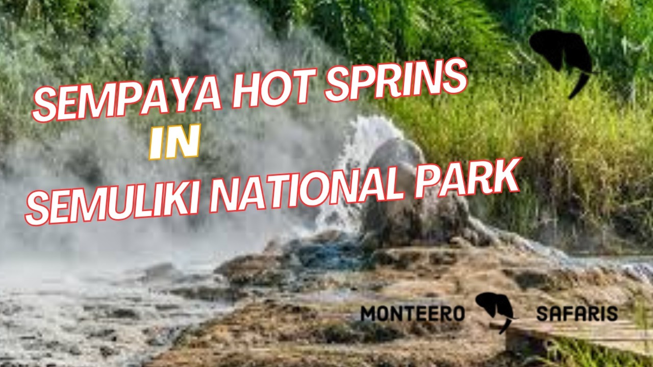 Trip to Semuliki national park  to see hot springs in western Uganda