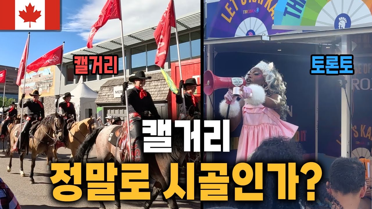 결국 토론토에서 캘거리로 도망왔습니다 (feat. 스탬피드) [캐나다 19]