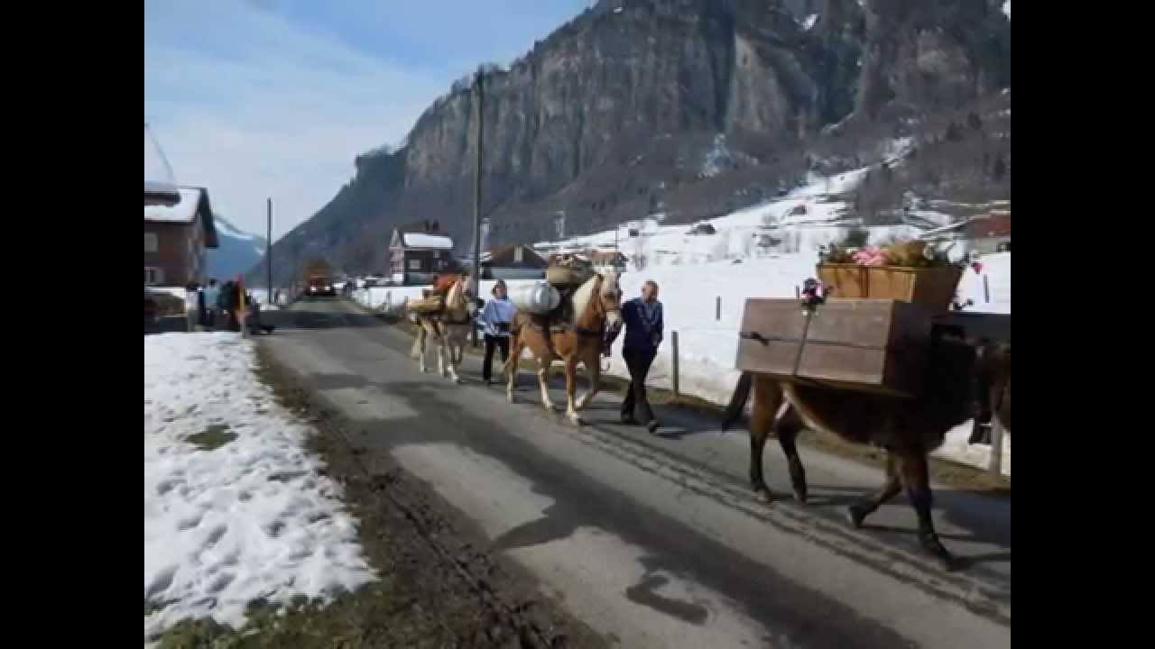 Sennenchilbi Muotathal 2015