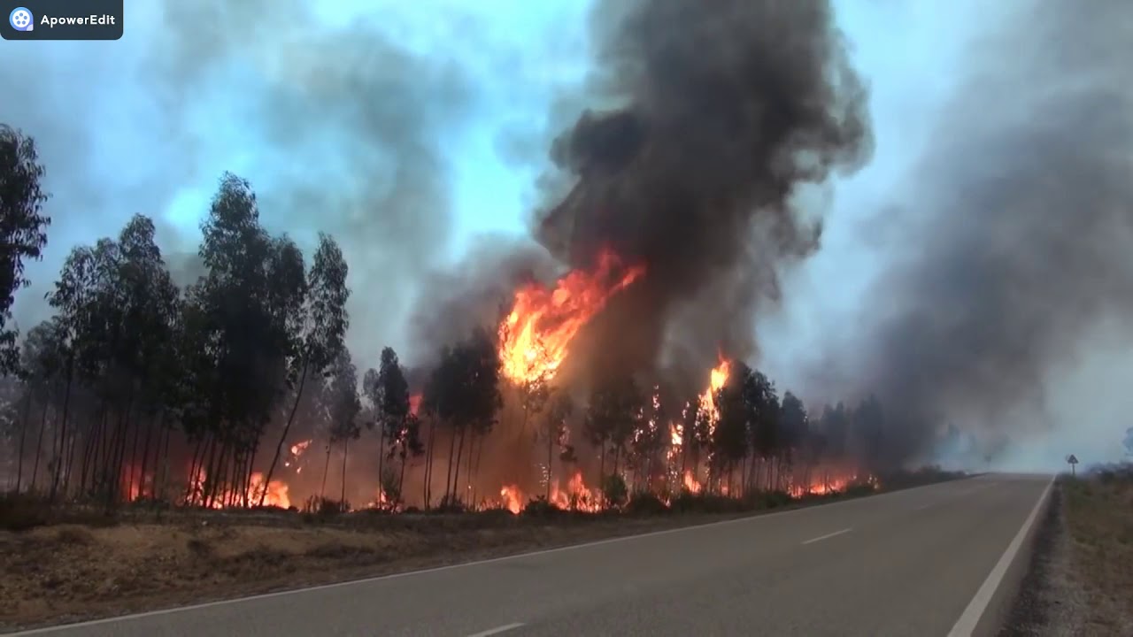 Incêndios Florestais / Rurais
