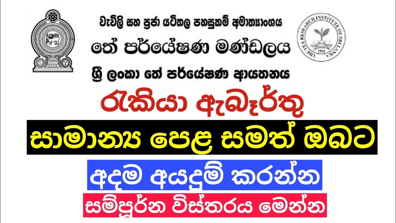 ශ්‍රී ලංකා තේ පර්යේෂණ ආයතනයේ රැකියා ඇබෑර්තු / The Tea research institute of srilanka job vacancies