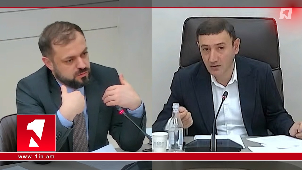 Ունենք շատ «էպիկ» դարձած գովազդներ, որոնք չեն արգելվում․ Թունյանի խնդրանքը Պապոյանին