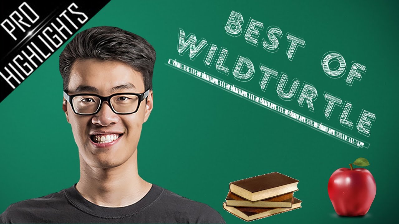 Best of WildTurtle 