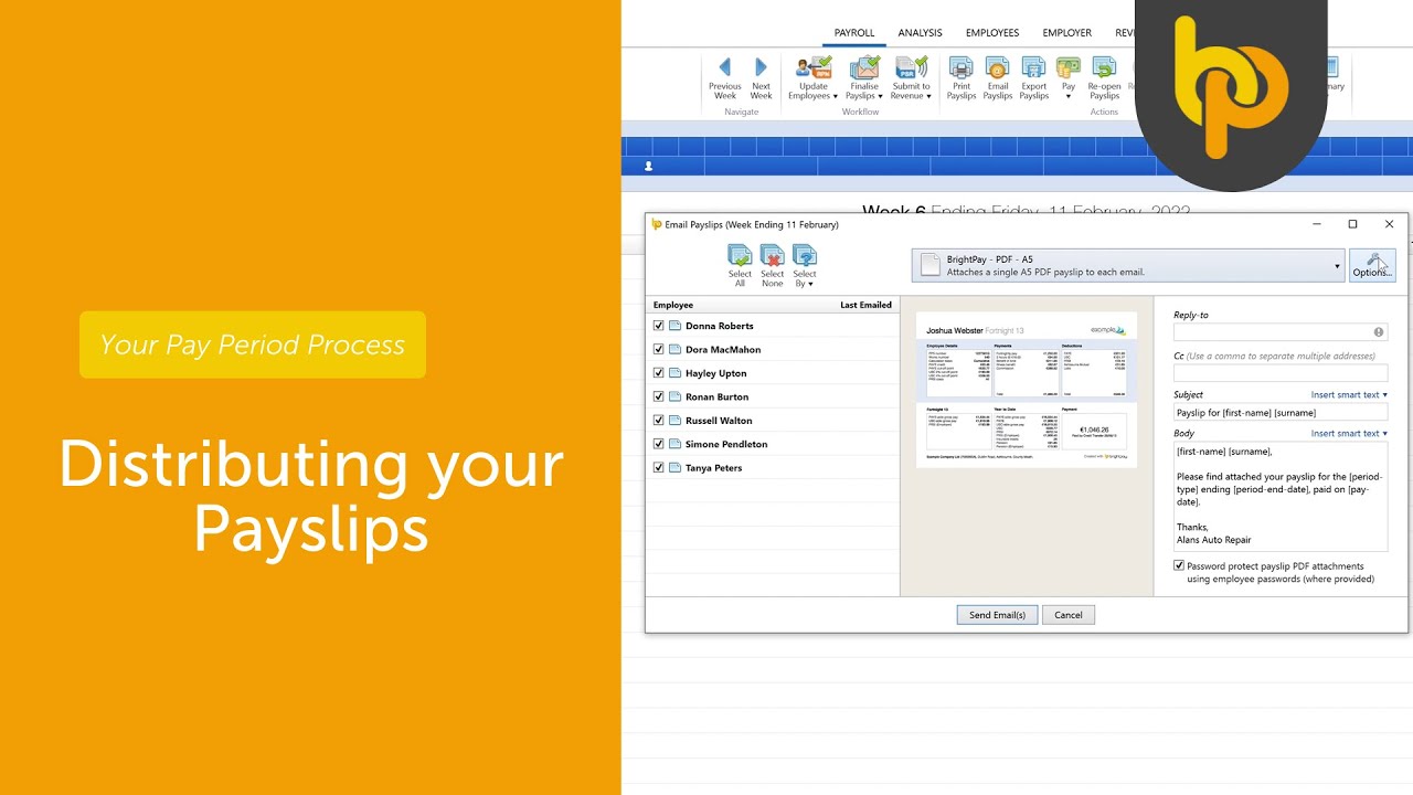How to distribute your payslips using BrightPay | Your Pay Period Process