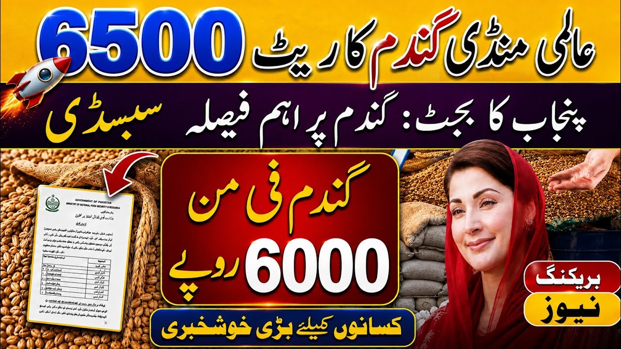 Today Wheat price in punjab//گندم کا ریٹ2026/munji makki till sarso/Galla mandi rate today 2026